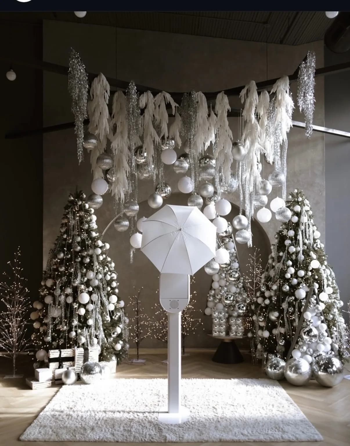Honey Photobooth with a silver holiday display